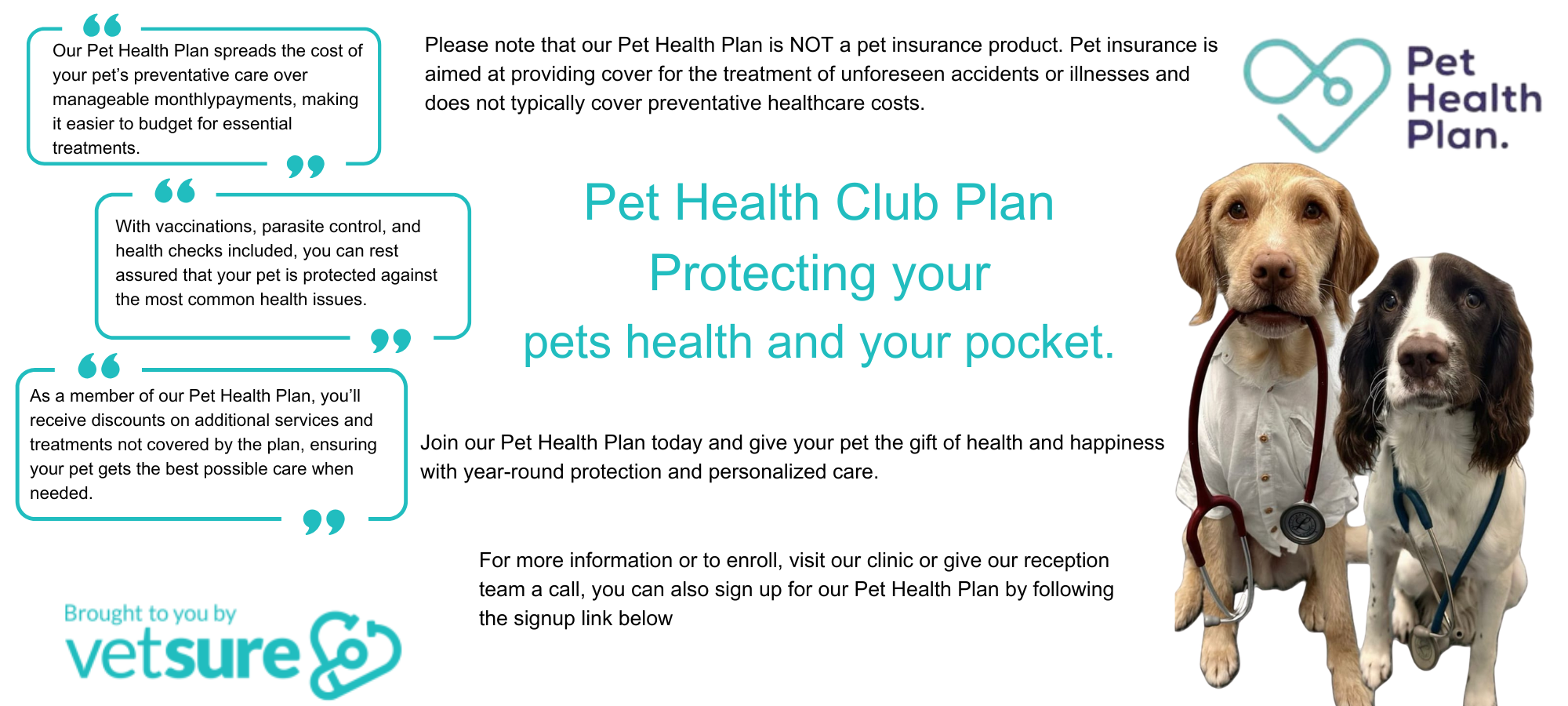 My Caring Vet